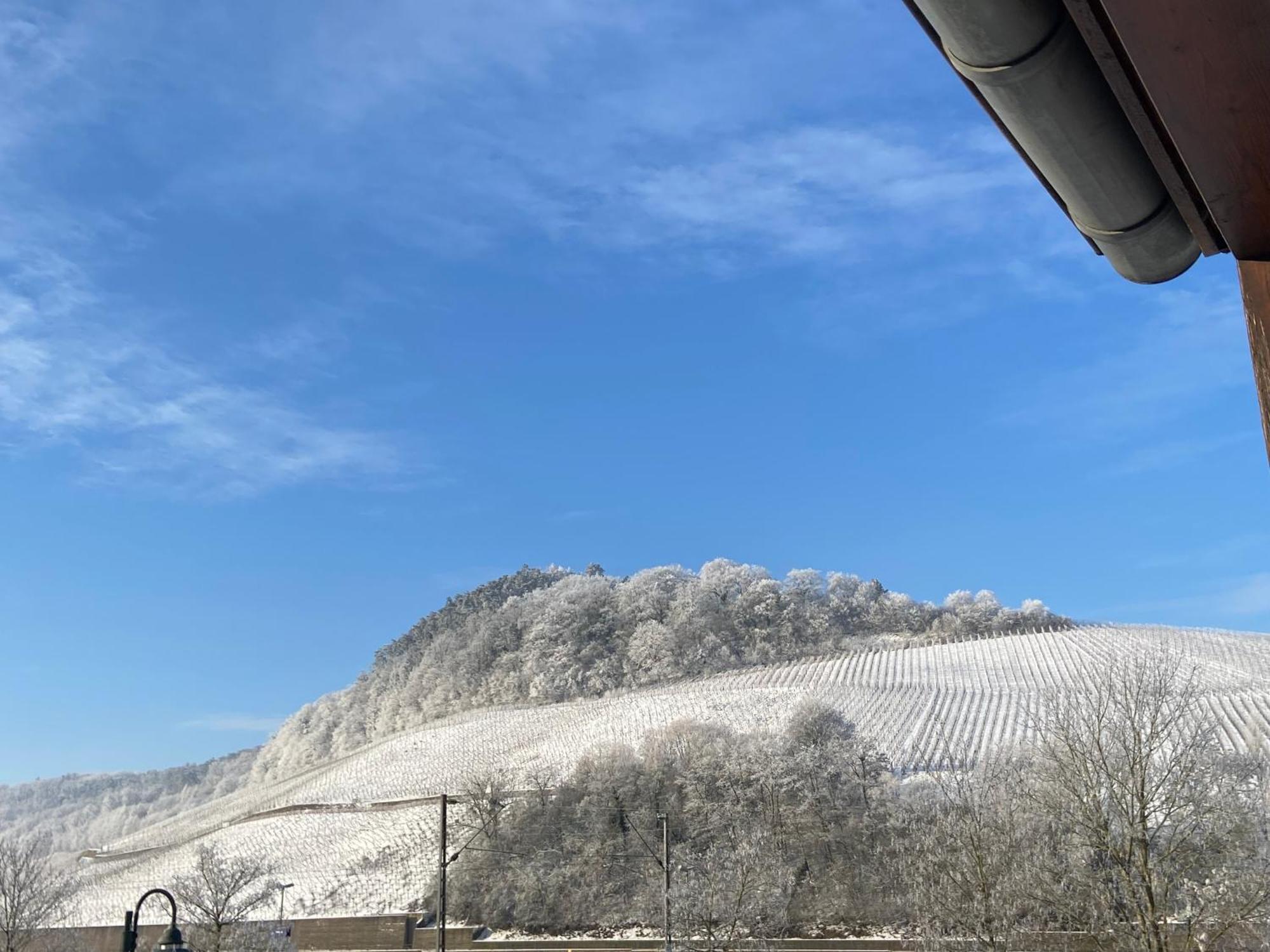 Hotel Gastehaus Und Weingut Bernd Frieden Nittel Exterior foto