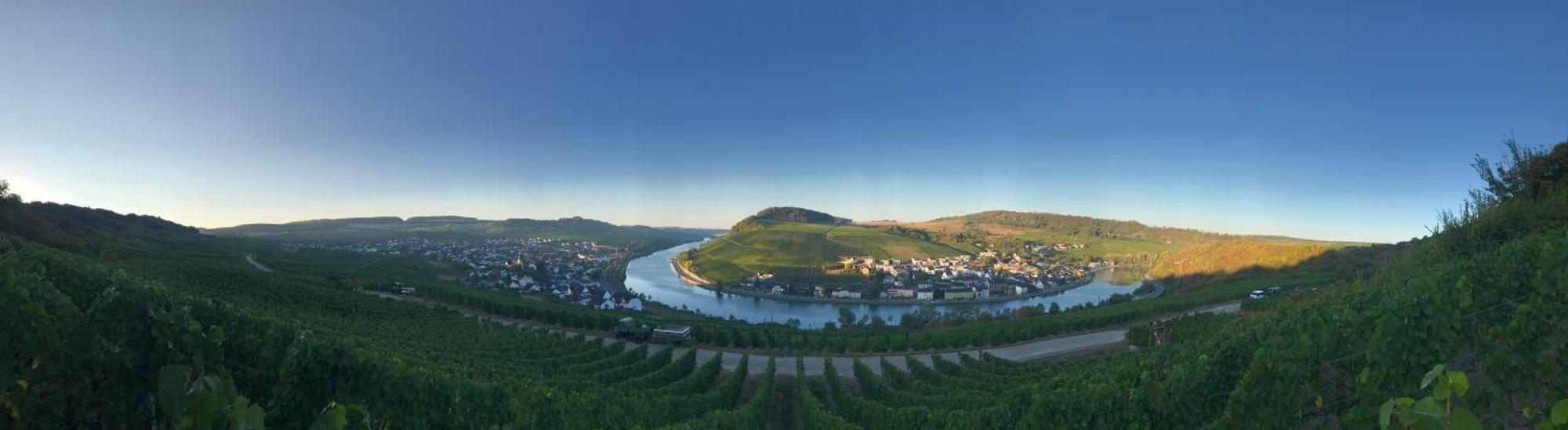 Hotel Gastehaus Und Weingut Bernd Frieden Nittel Exterior foto