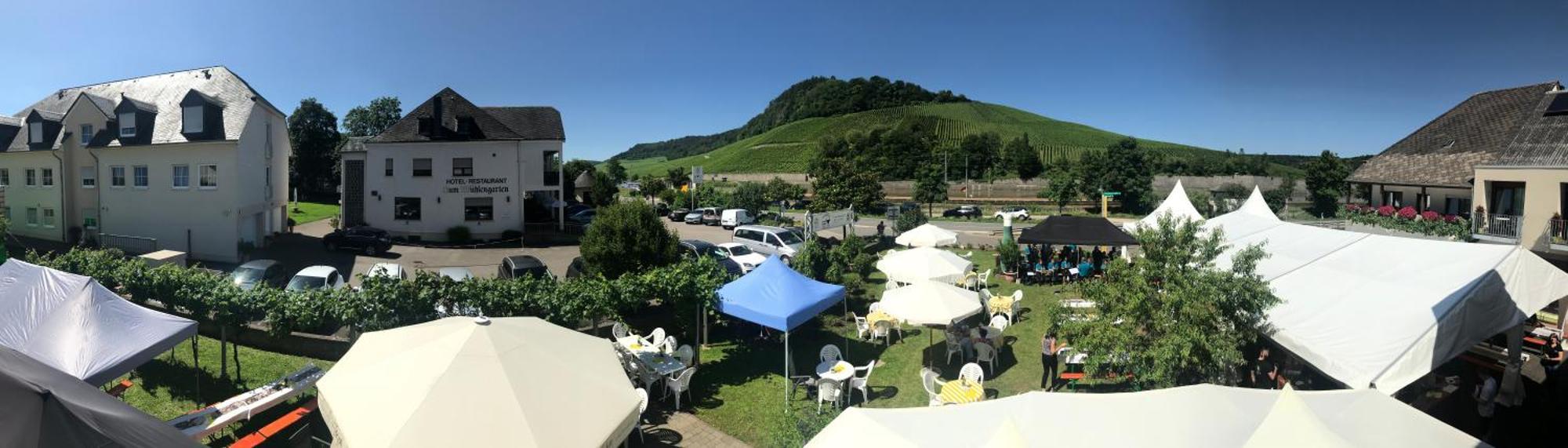 Hotel Gastehaus Und Weingut Bernd Frieden Nittel Exterior foto