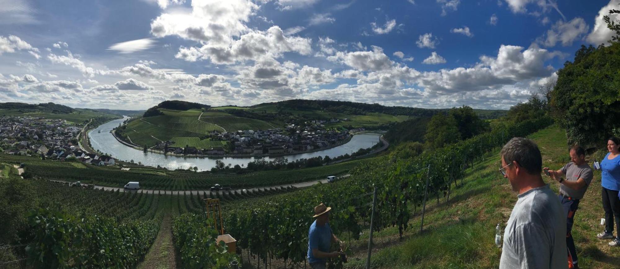 Hotel Gastehaus Und Weingut Bernd Frieden Nittel Exterior foto