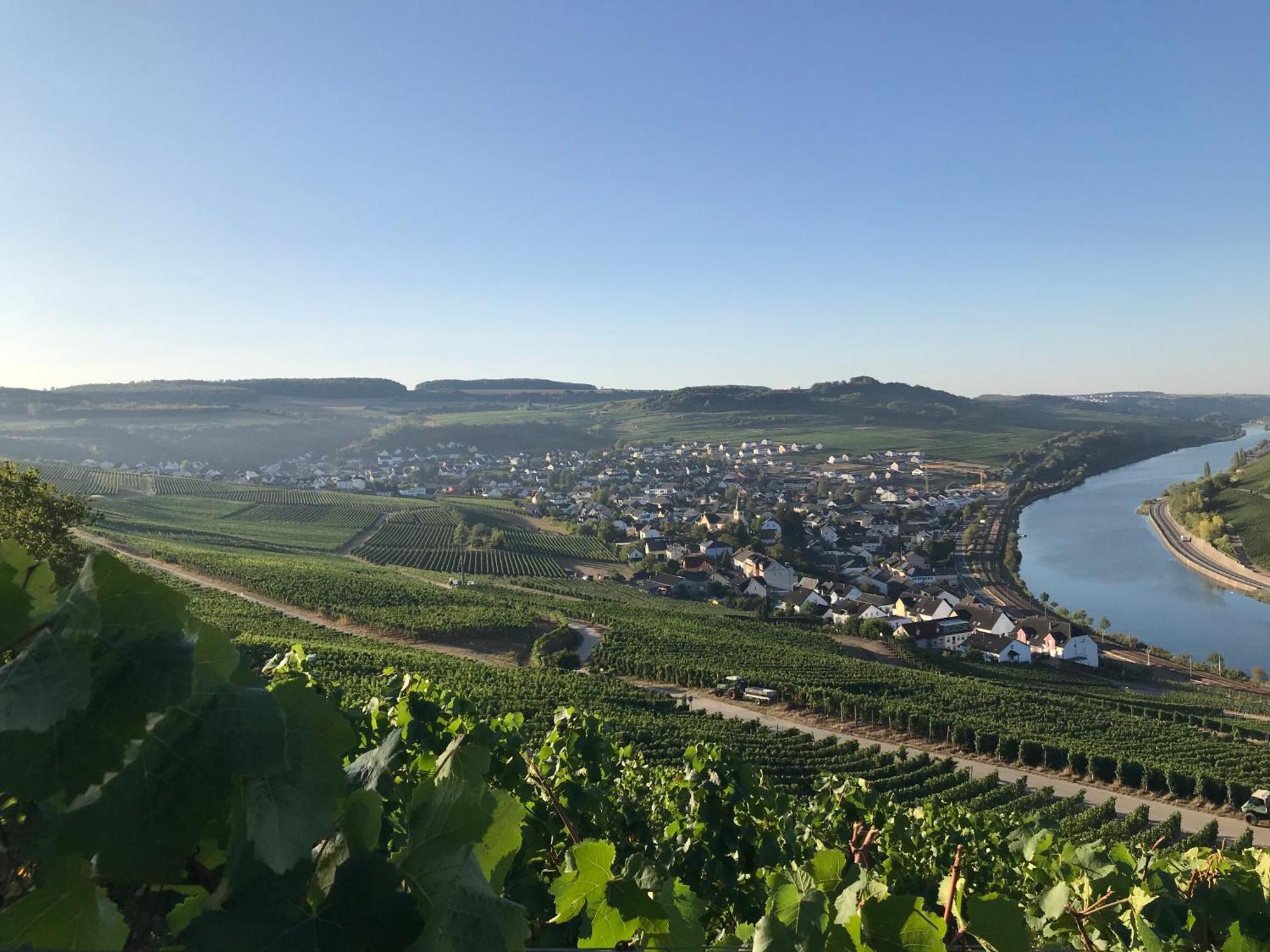 Hotel Gastehaus Und Weingut Bernd Frieden Nittel Exterior foto