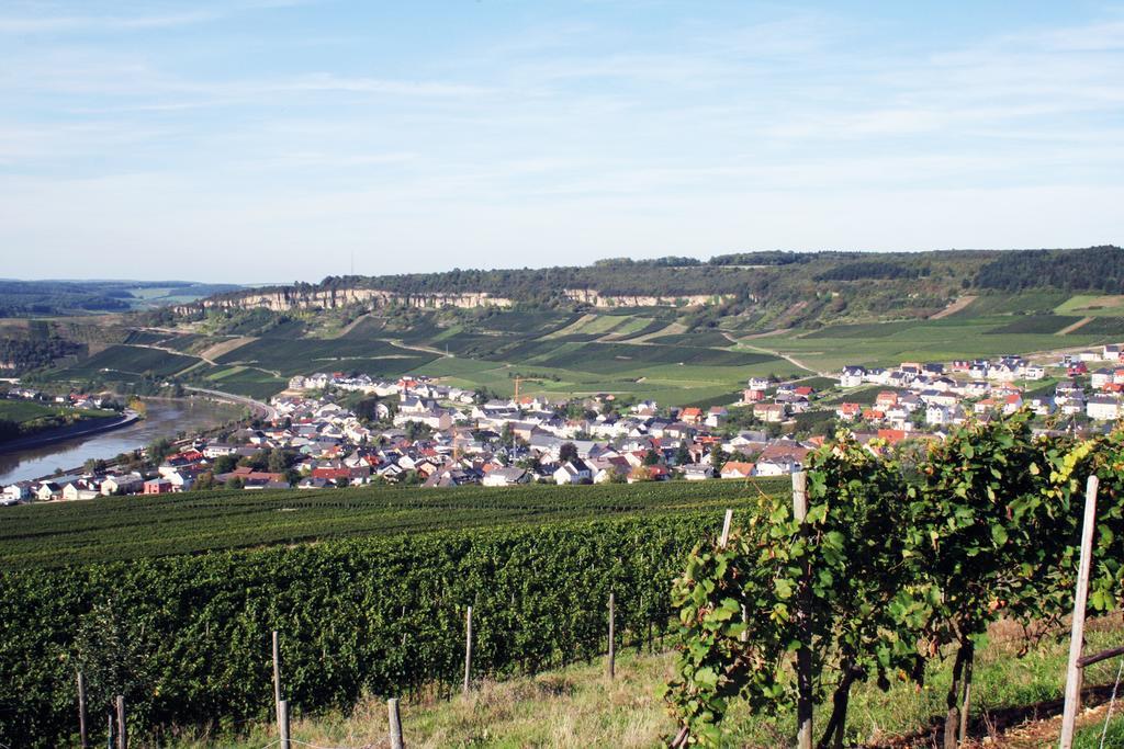 Hotel Gastehaus Und Weingut Bernd Frieden Nittel Exterior foto